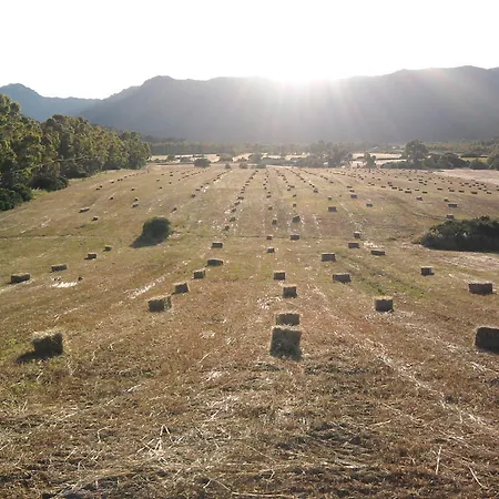 Alloggio per agriturismo Agriturismo Il Nuraghe