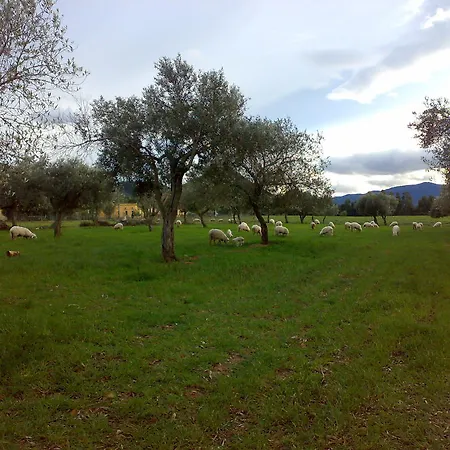 Farm stay Agriturismo Il Nuraghe