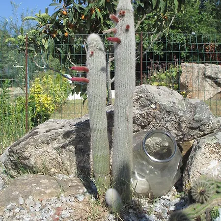 Farm stay Agriturismo Il Nuraghe *