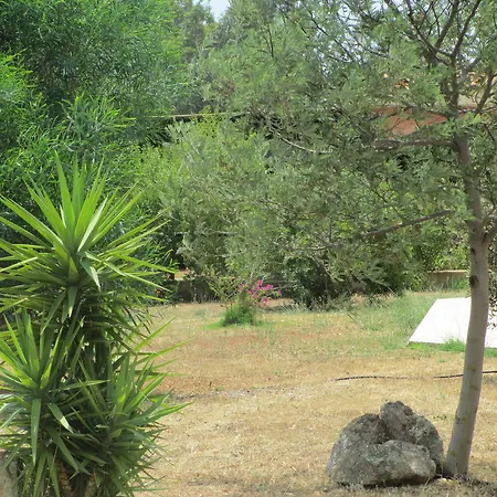 Farm stay Agriturismo Il Nuraghe Camisa
