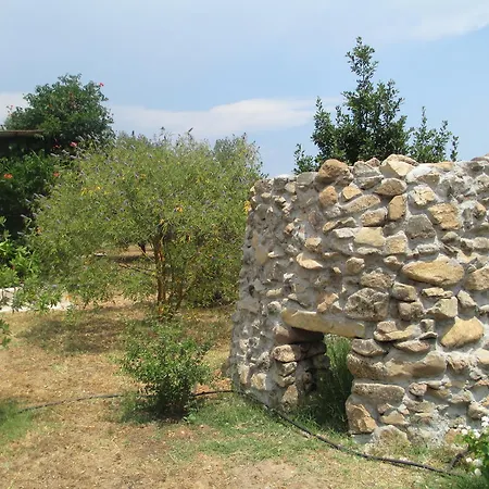 Farm stay Agriturismo Il Nuraghe
