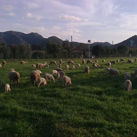 Agriturismo Il Nuraghe Farm stay Camisa