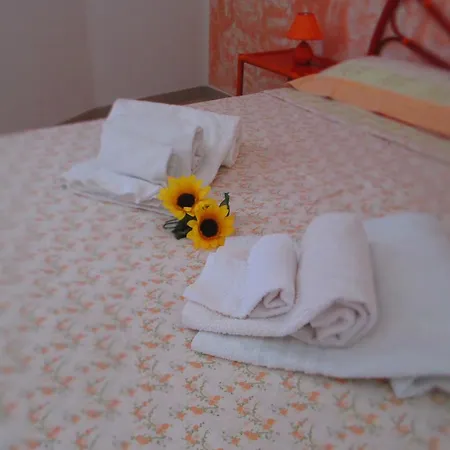 Alloggio per agriturismo Agriturismo Il Nuraghe *